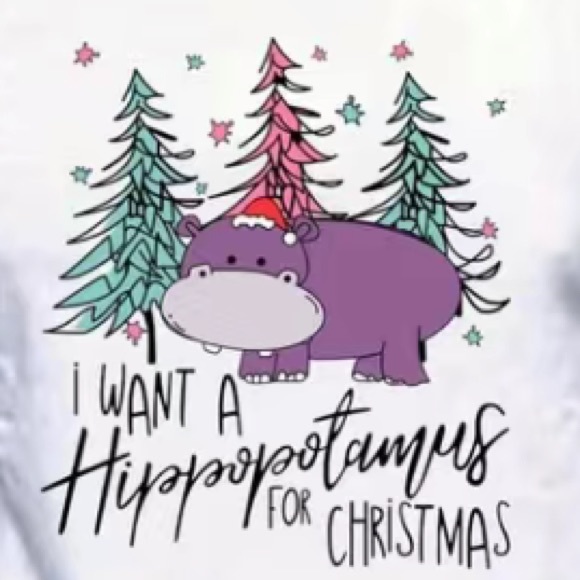 Unisex “I Want a Hippopotamus For Christmas” T-Shirt - Picture 2 of 7